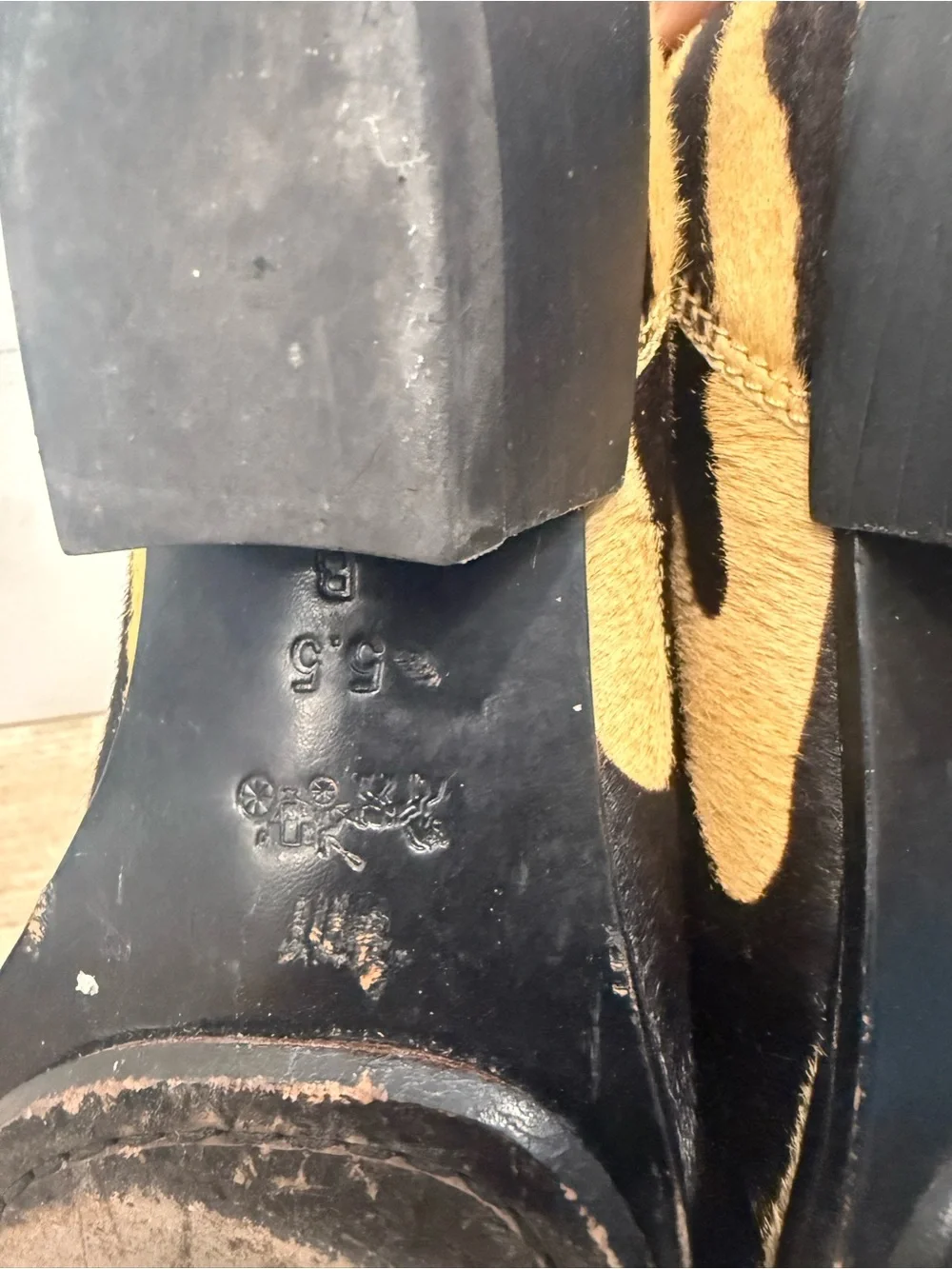 Coach zip up ankle booties 5.5
